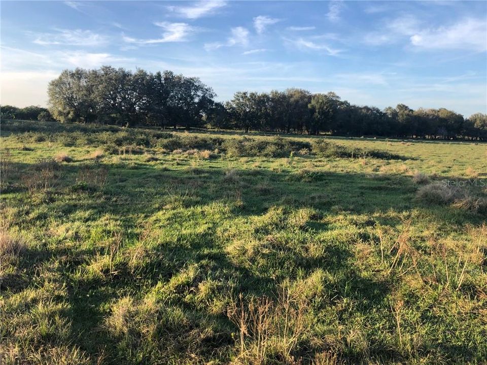 Recently Sold: $300,000 (25.00 acres)