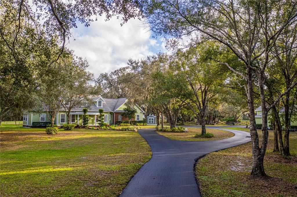 Large Oaks Cover the Entire Property