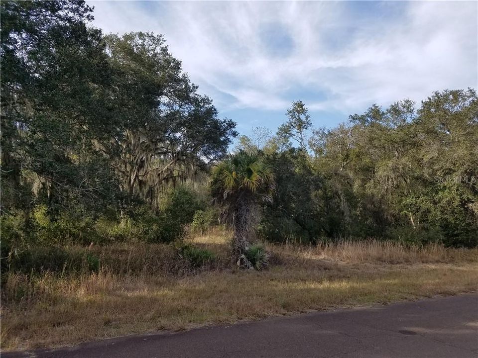 Недавно продано: $150,000 (3.41 acres)