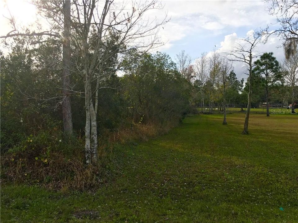 Недавно продано: $34,500 (1.09 acres)