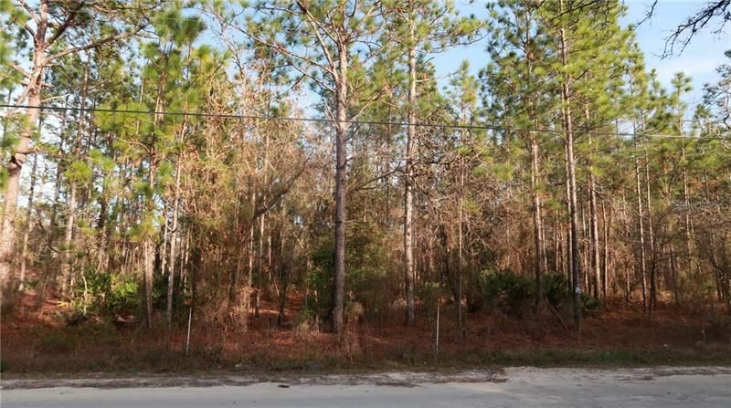 Recently Sold: $9,900 (0.46 acres)