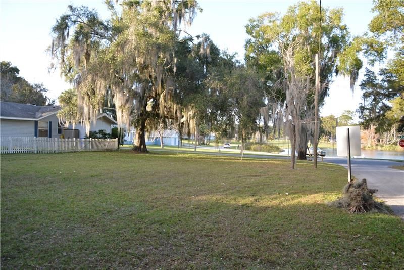 View from the house towards Ocala Street and the Pond