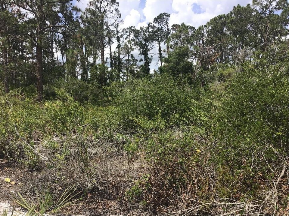 Recently Sold: $9,995 (0.87 acres)