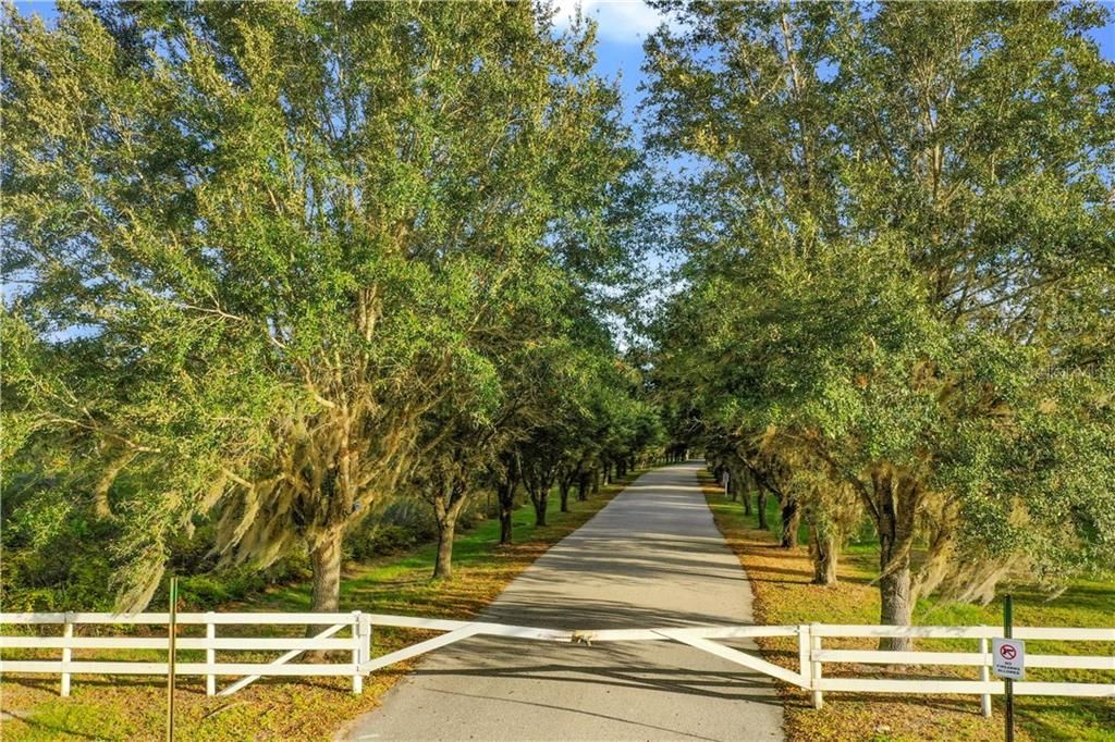 Recently Sold: $4,500,000 (99.00 acres)