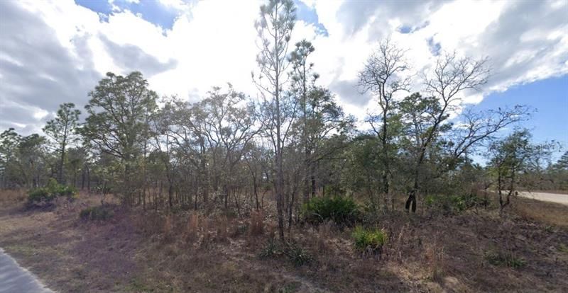 Recently Sold: $13,900 (0.46 acres)