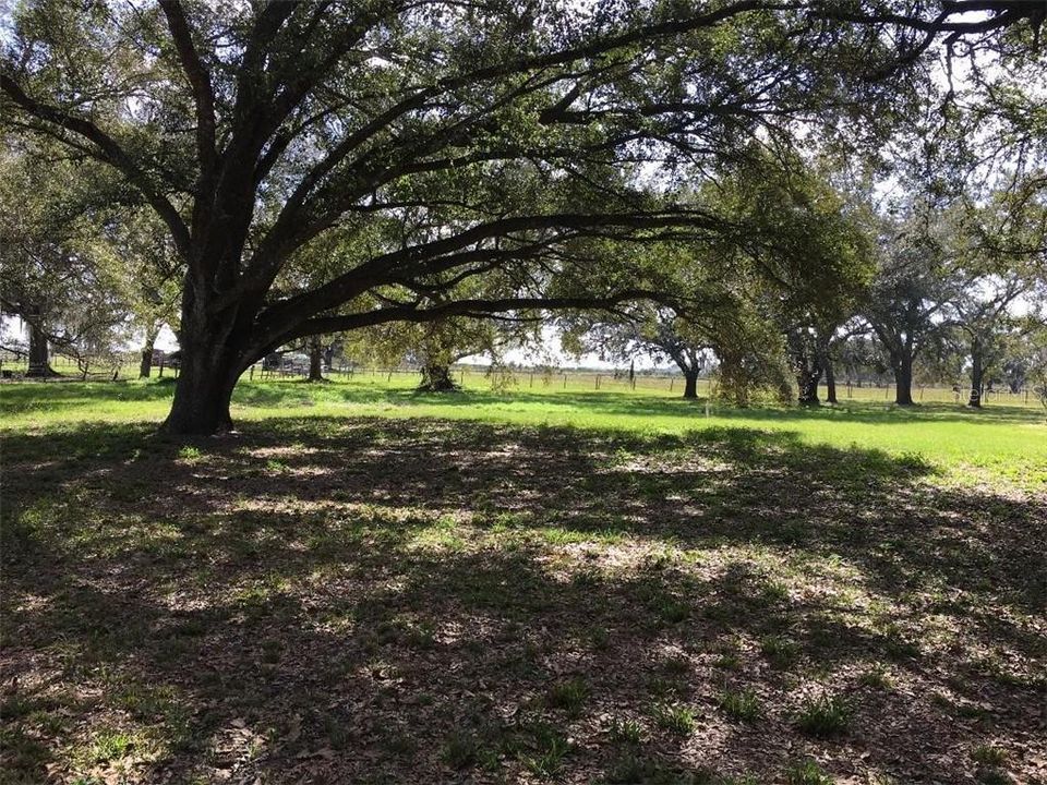 最近售出: $59,900 (1.00 acres)