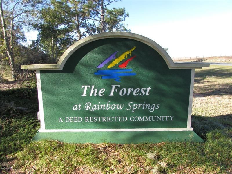 Entrance to Rainbow Springs Forest