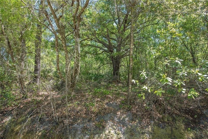 Recently Sold: $250,000 (9.62 acres)