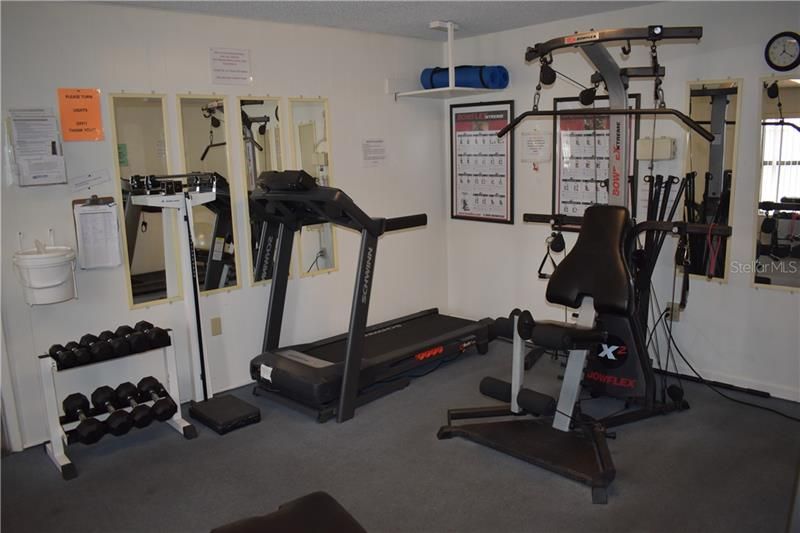 Fitness center w/equipment and weights.