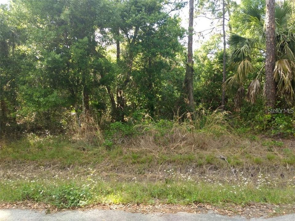 Vendido Recientemente: $19,000 (0.46 acres)