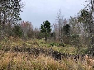 Recently Sold: $75,000 (4.99 acres)