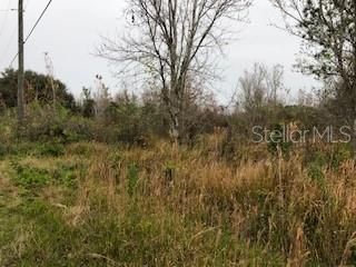 Recently Sold: $75,000 (4.99 acres)