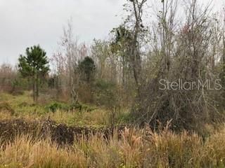 Vendido Recientemente: $75,000 (4.99 acres)