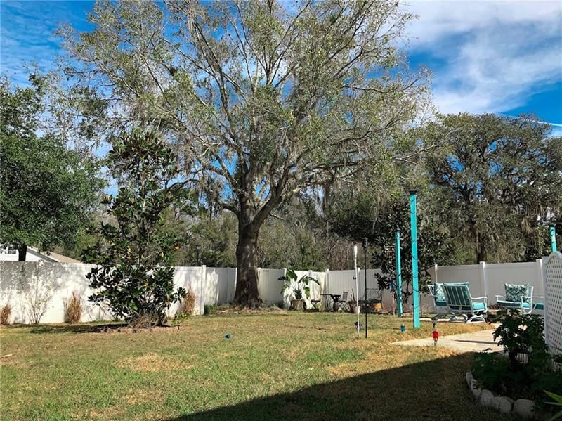 Huge fenced-in backyard, perfect for entertaining!