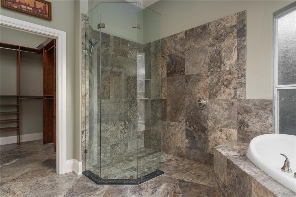 Master walk in glass shower