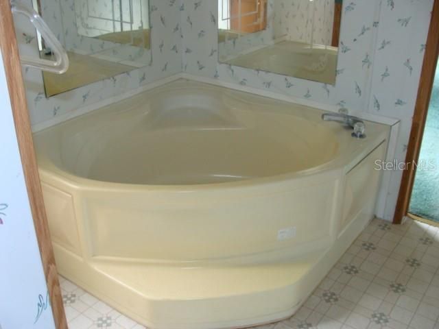Master Bath Soaking Tub