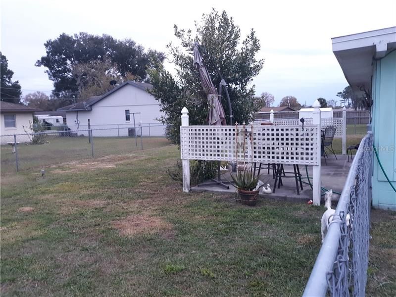 Fenced in back yard.