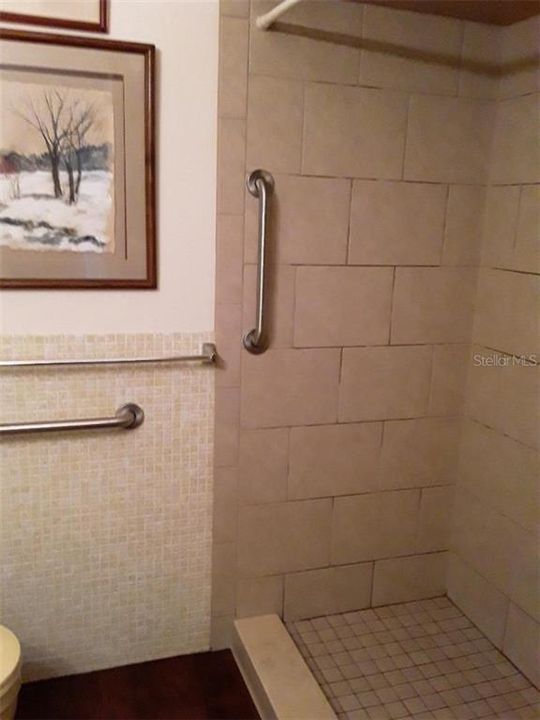 Bath showing walk in upgraded shower with handicap bars