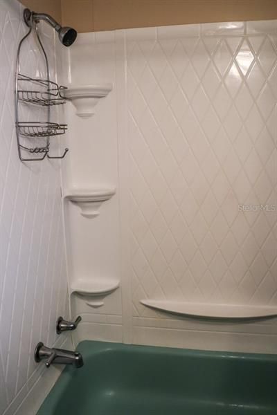 Shower tub view