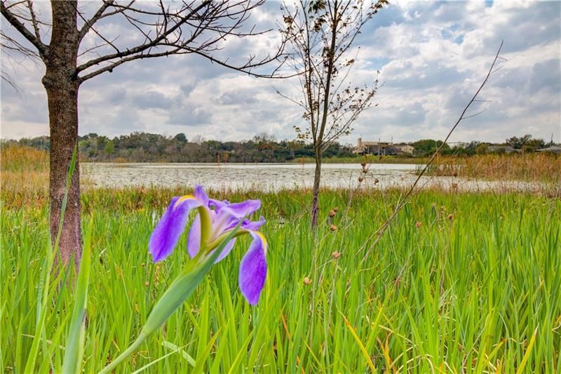 Недавно продано: $535,000 (6 спален, 4 ванн, 3562 Квадратных фут)