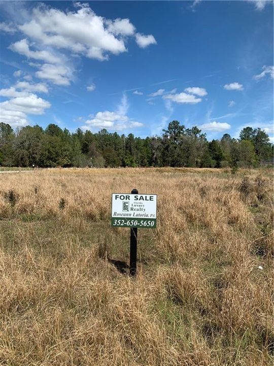 Recently Sold: $19,500 (0.35 acres)