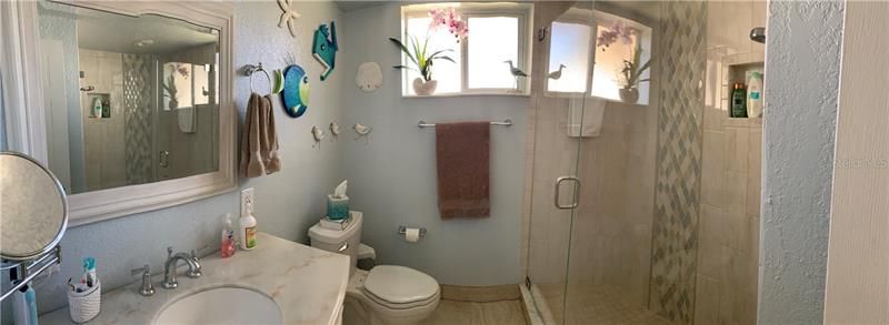 Renovated batheroom with new shower/new cabinet and seamless shower door