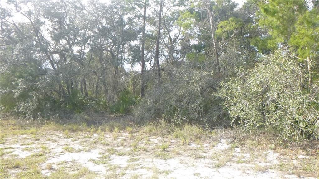 Recently Sold: $12,000 (0.38 acres)
