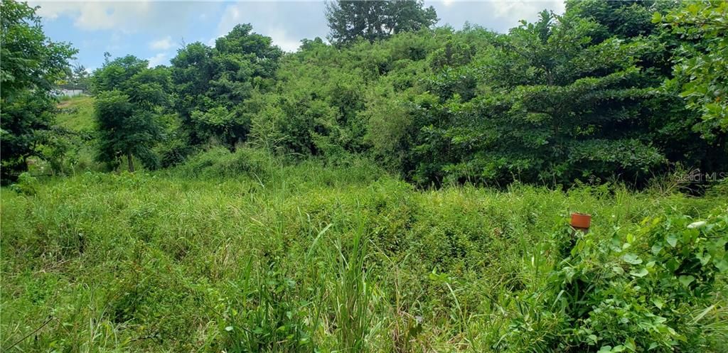 Vendido Recientemente: $132,000 (1.06 acres)