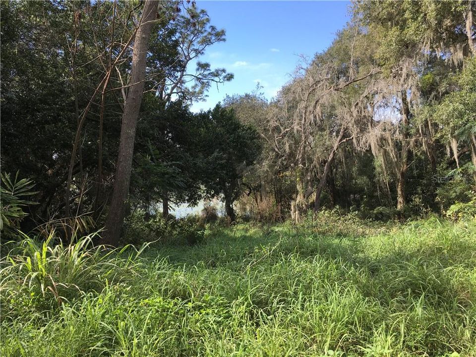 最近售出: $23,000 (0.41 acres)