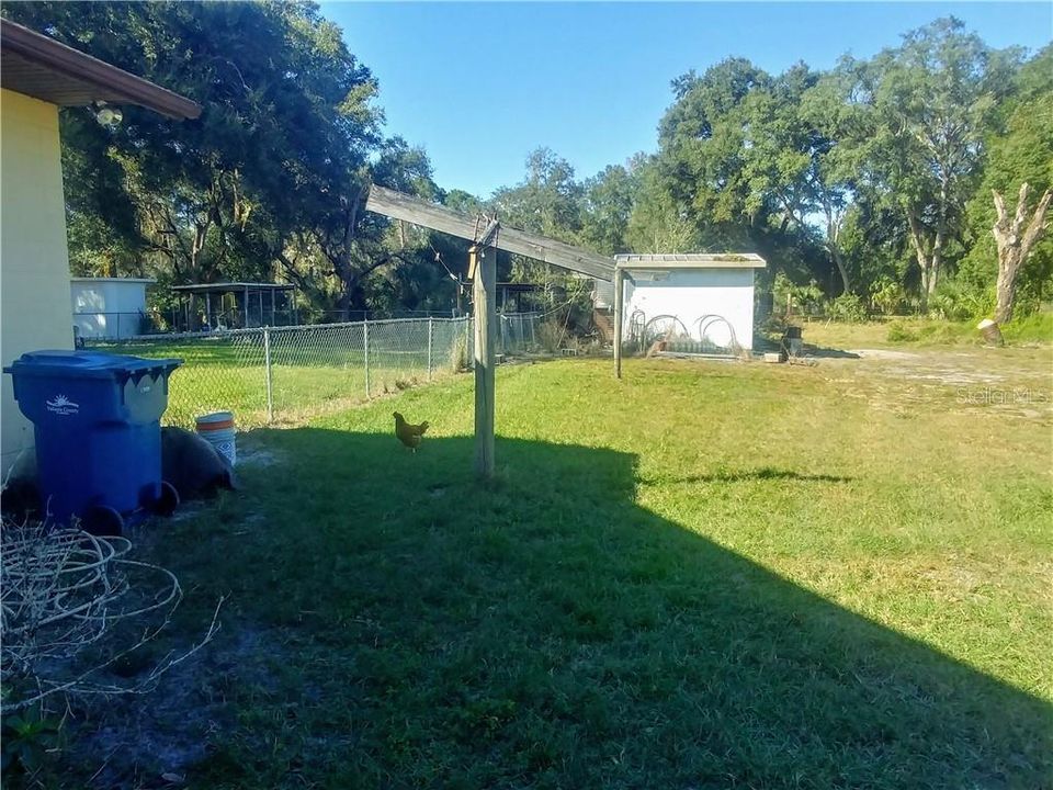 Chain link fenced back yard with dog run and dog pen area