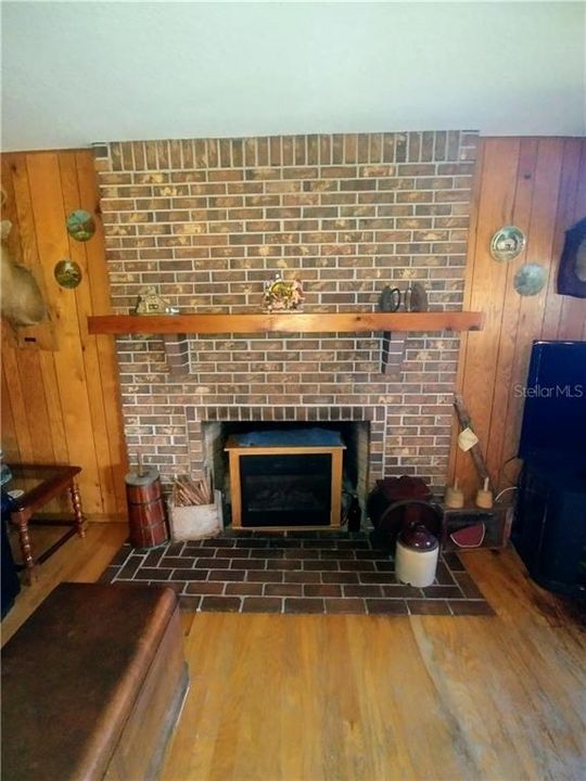 Wood burning fireplace with electric fireplace insert