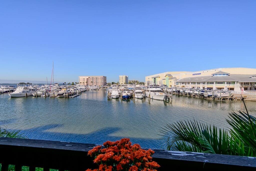 Welcome to Dunedin!  Your gorgeous waterfront townhome and these views await you!