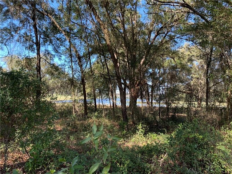 Recently Sold: $8,000 (0.50 acres)
