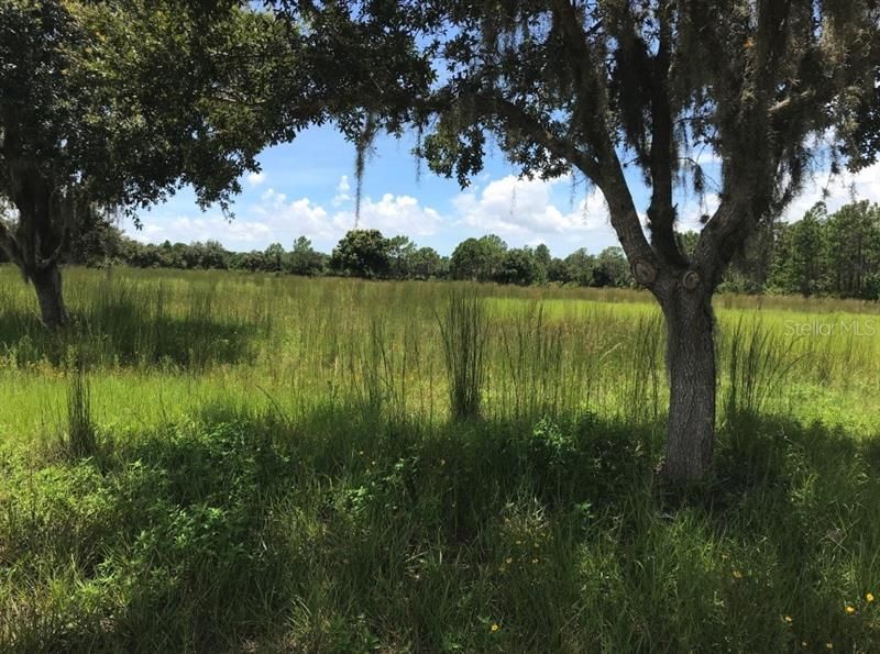 Recently Sold: $245,000 (5.01 acres)