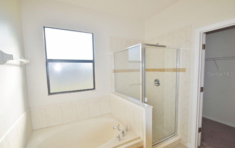 Недавно арендовано: $1,599 (3 спален, 2 ванн, 1772 Квадратных фут)