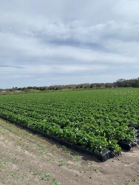 Recently Sold: $699,000 (17.60 acres)