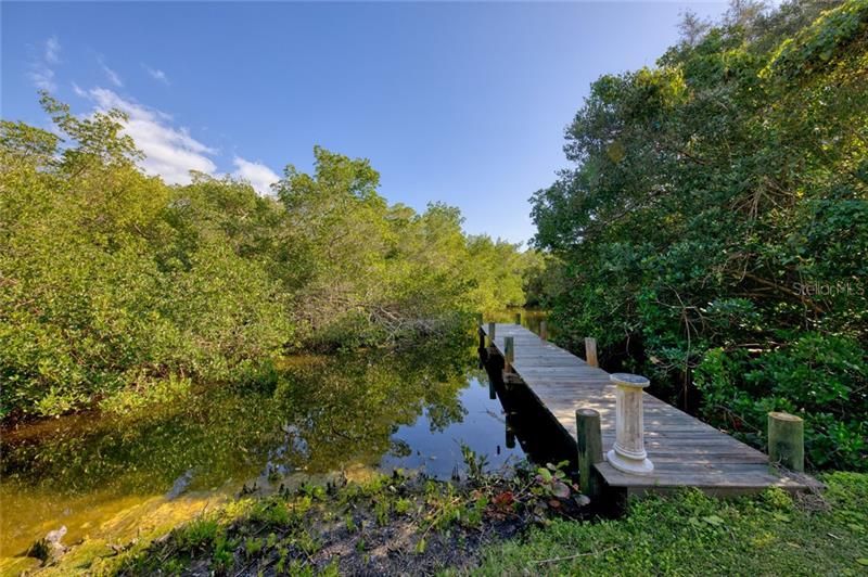 Saltwater Lagoon/Estuary... put your canoe or kayak in and have some fun!