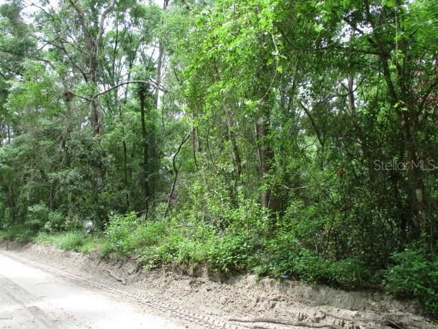 Recently Sold: $5,000 (4.00 acres)
