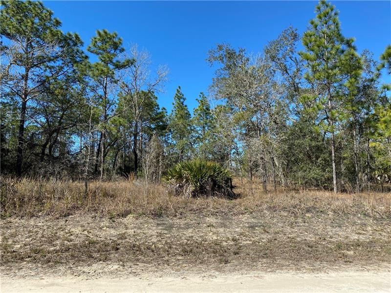 Recently Sold: $12,000 (0.46 acres)