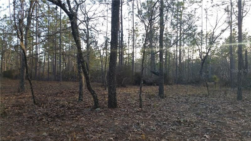 Recently Sold: $24,900 (5.01 acres)