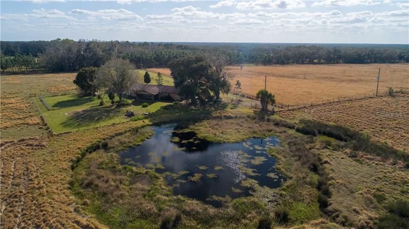 Catfish pond