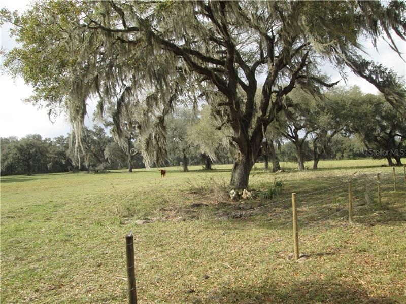 Recently Sold: $189,000 (16.00 acres)