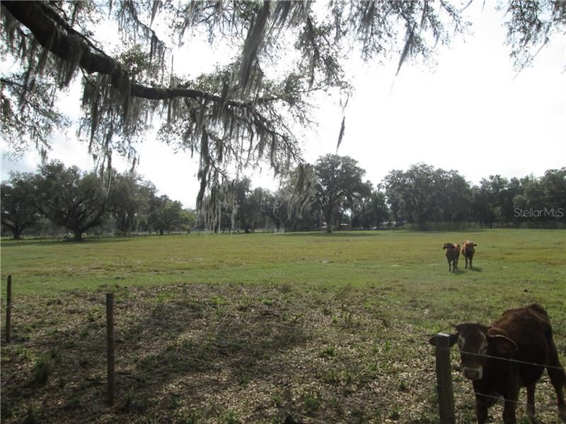 Recently Sold: $189,000 (16.00 acres)