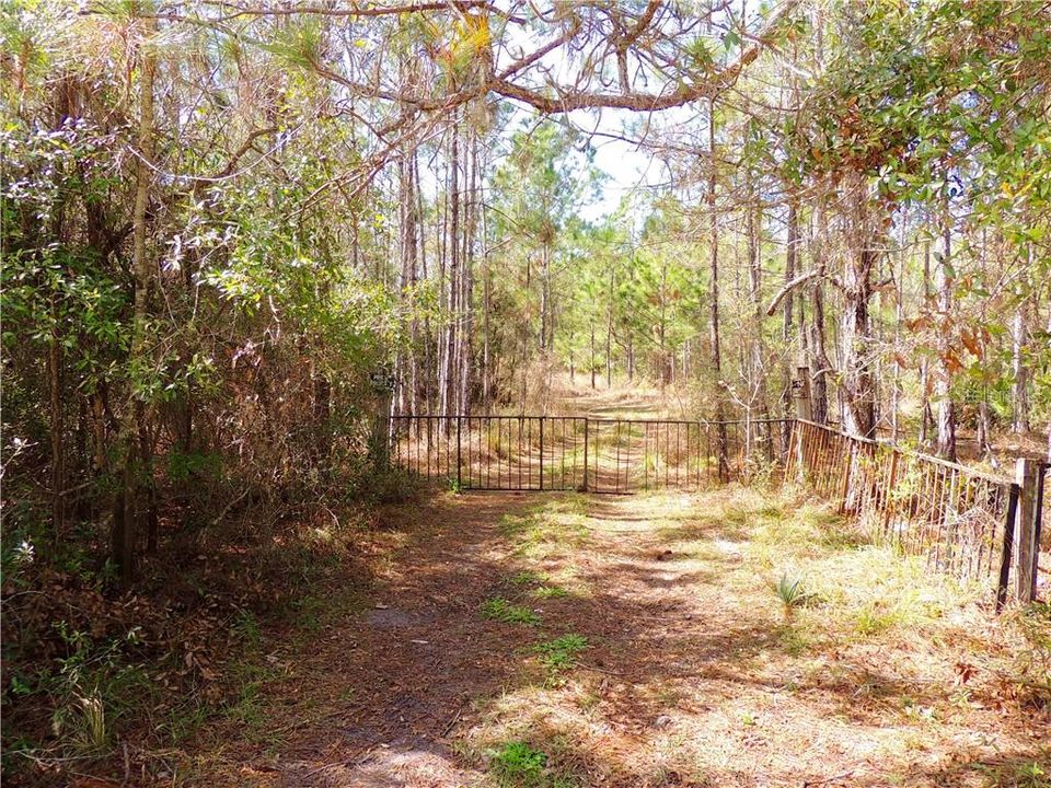 Current gated entrance