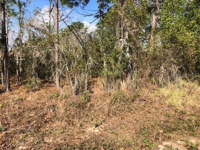 Vendido Recientemente: $8,500 (0.23 acres)