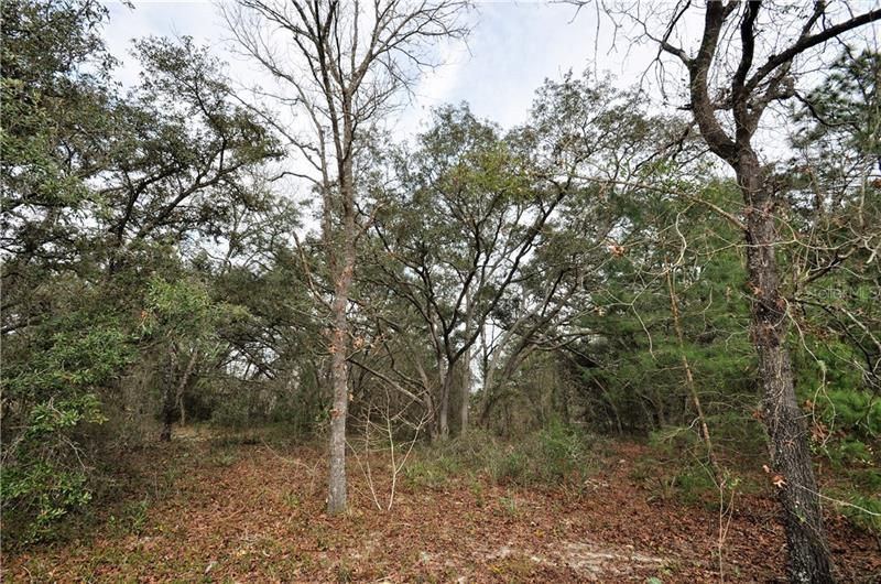 Vendido Recientemente: $65,000 (4.01 acres)