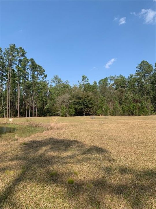 Recently Sold: $45,000 (4.66 acres)