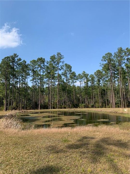 Недавно продано: $45,000 (4.66 acres)