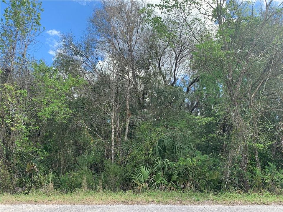 Recently Sold: $50,000 (3.53 acres)