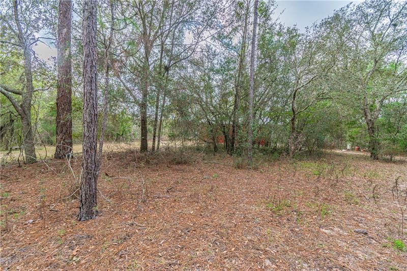 Recently Sold: $118,000 (5.00 acres)